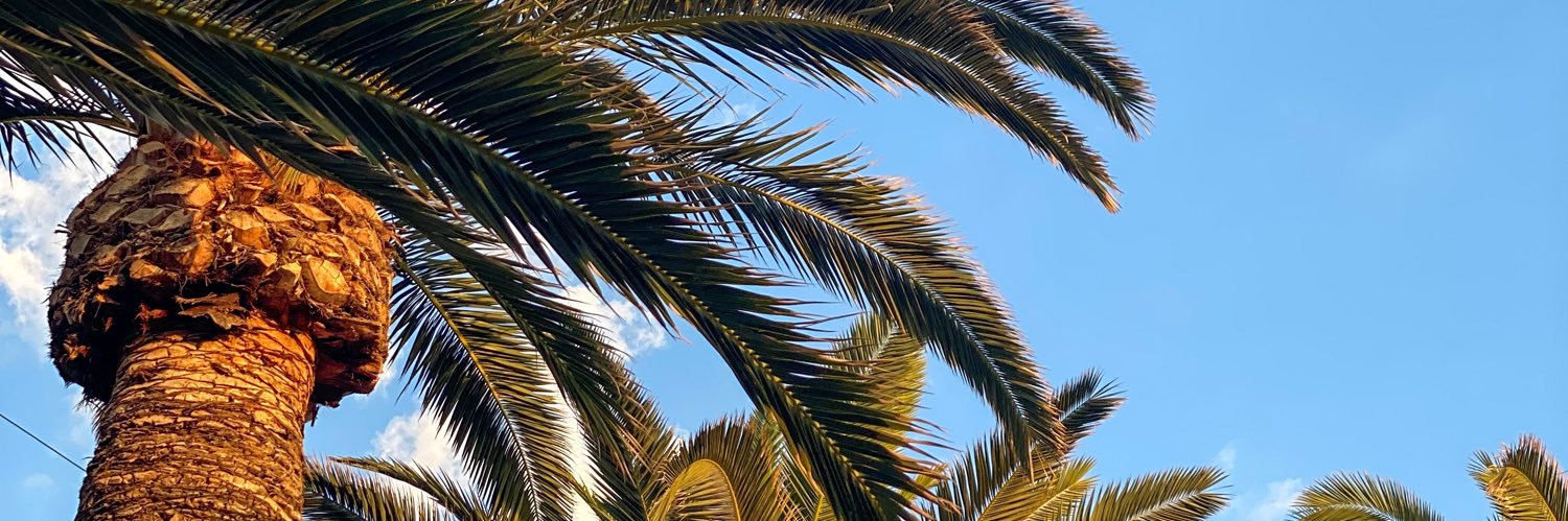 Callum Burgin banner