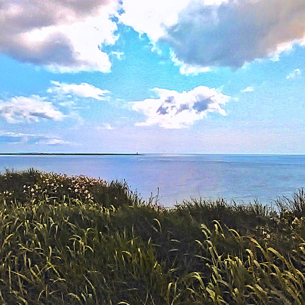 DebbieGrant6's profile banner image