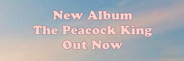 BobbyTreacle Profile Banner