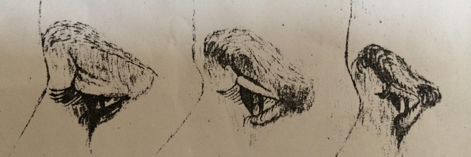 frieda_nest's profile banner image
