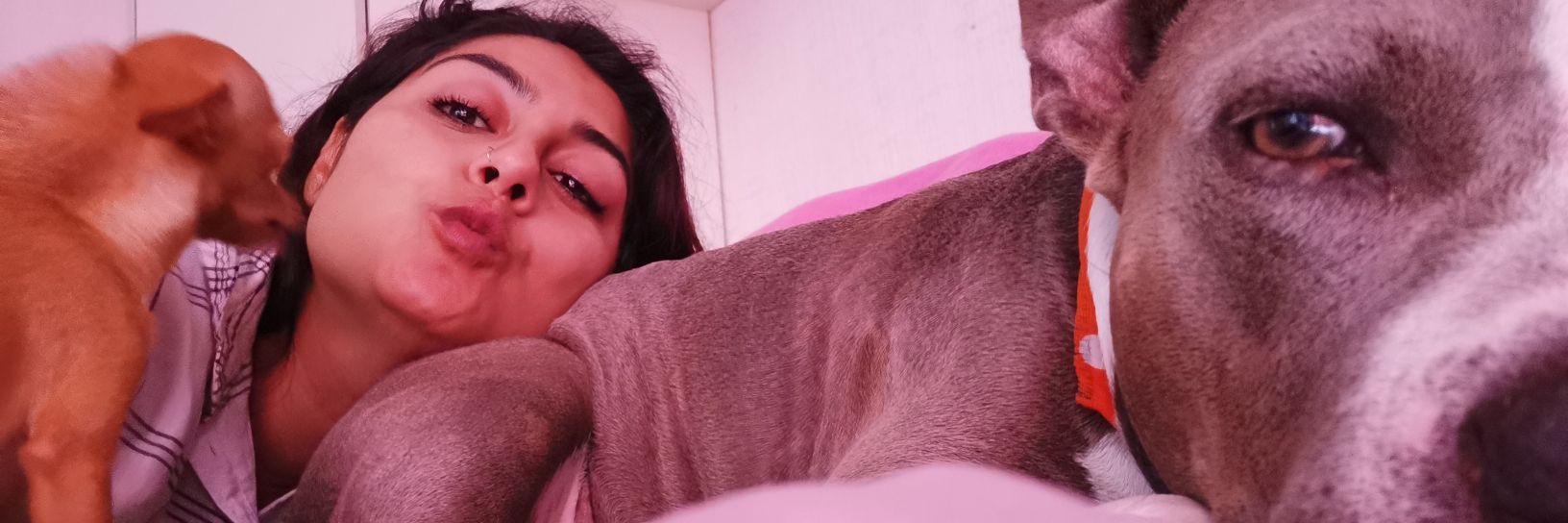 AzeBep's profile banner image