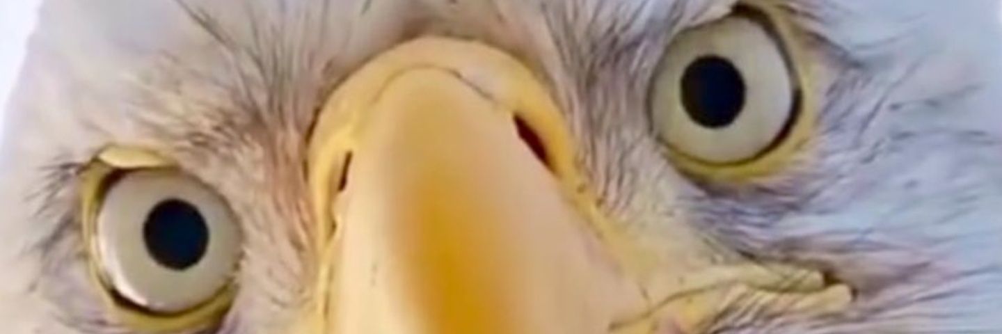 rNOLEd's profile banner image