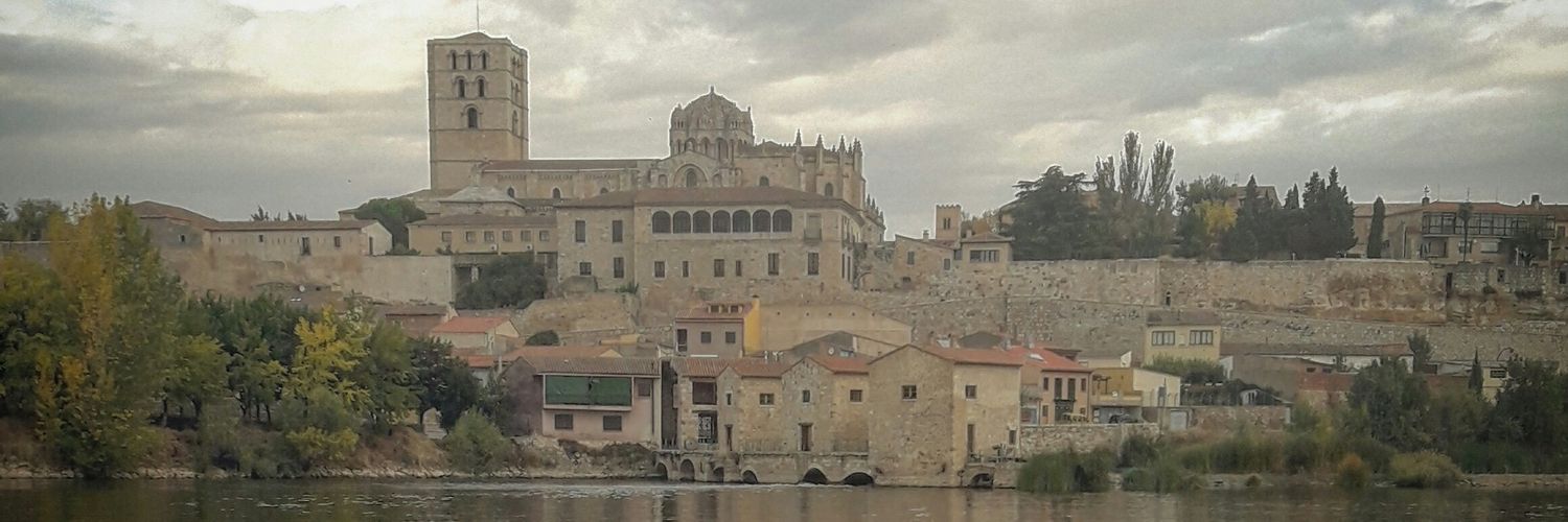 2197Luca's profile banner image