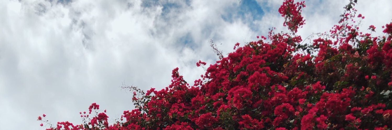 ManalSub_'s profile banner image