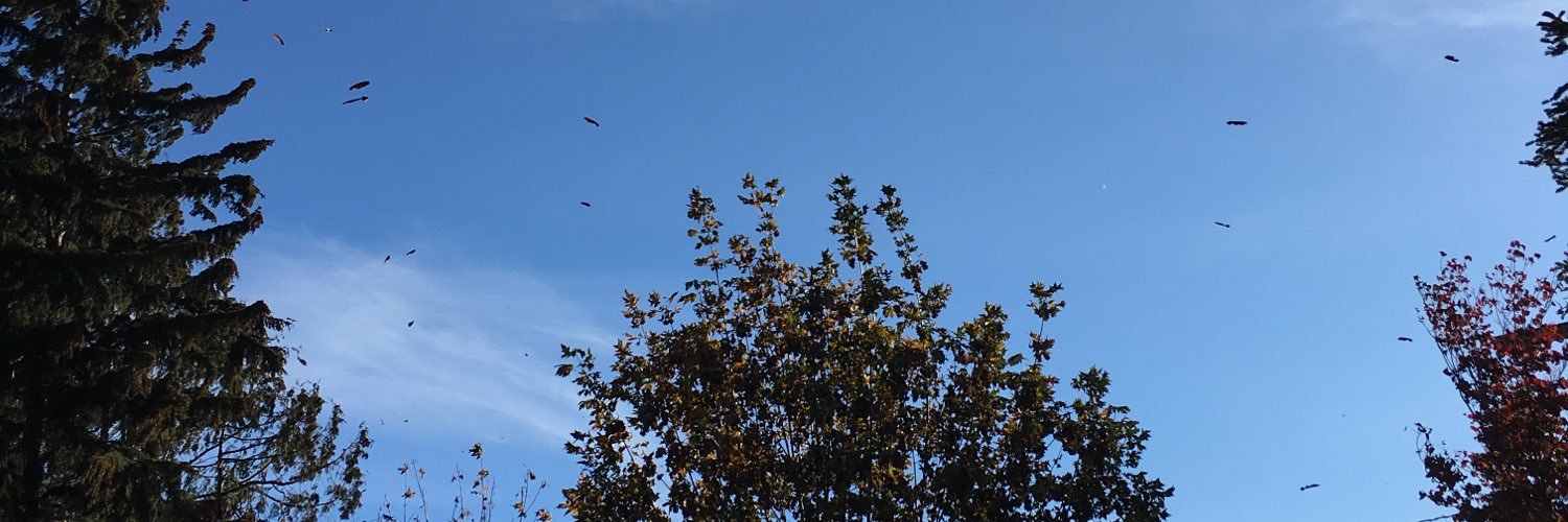 RickJCombs4's profile banner image