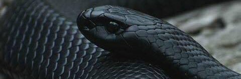 Albert_JMC's profile banner image