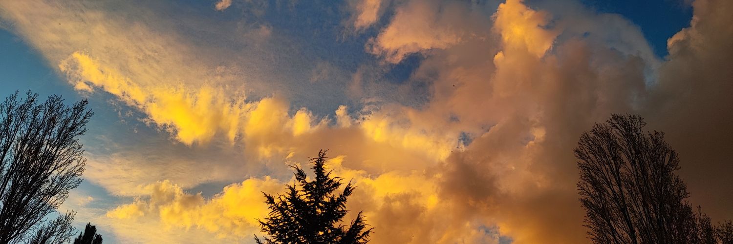 elp_96's profile banner image
