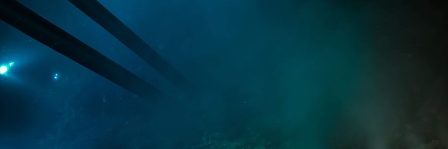 angeesoon's profile banner image