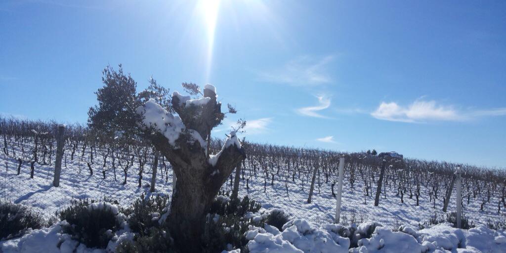 Karim Johnny Saadé banner