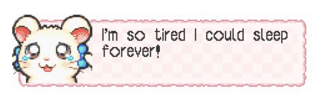 Tyra ♡ 🫧🐾 banner