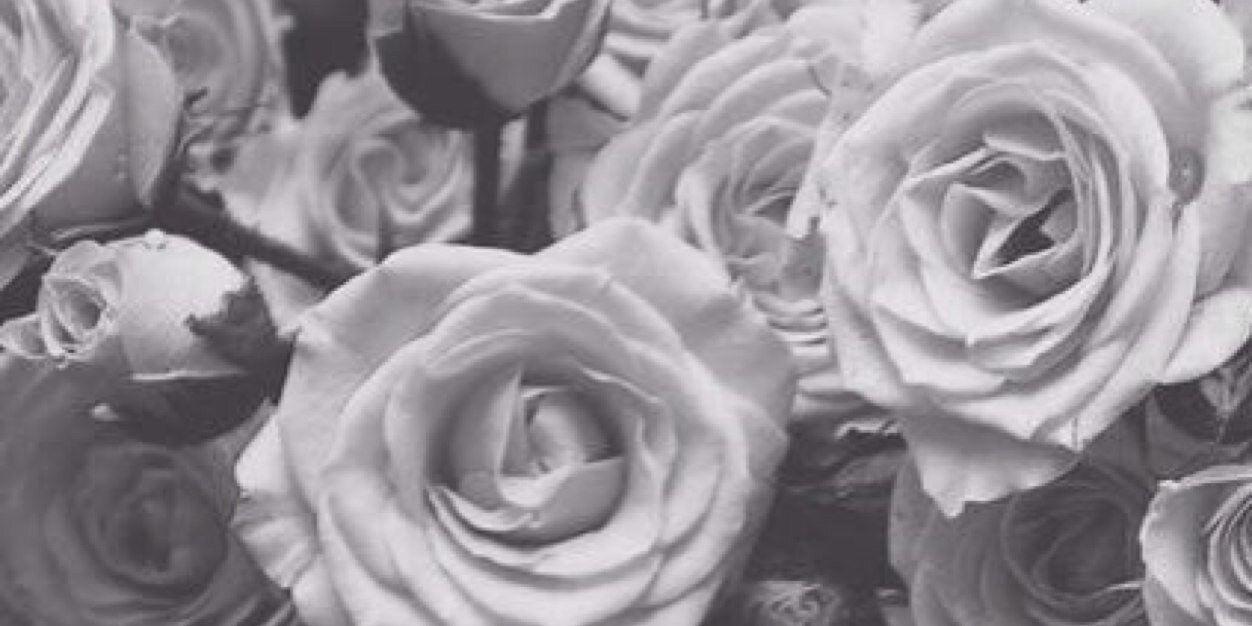 cowellem's profile banner image