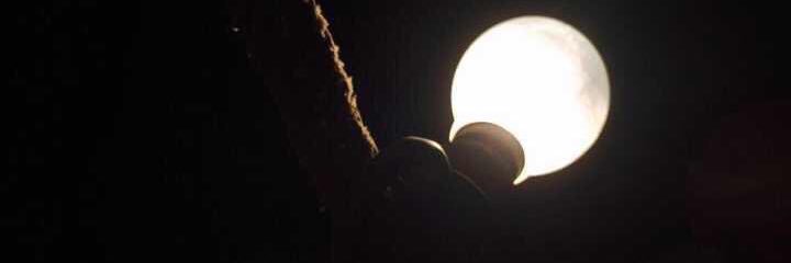 aedalt's profile banner image