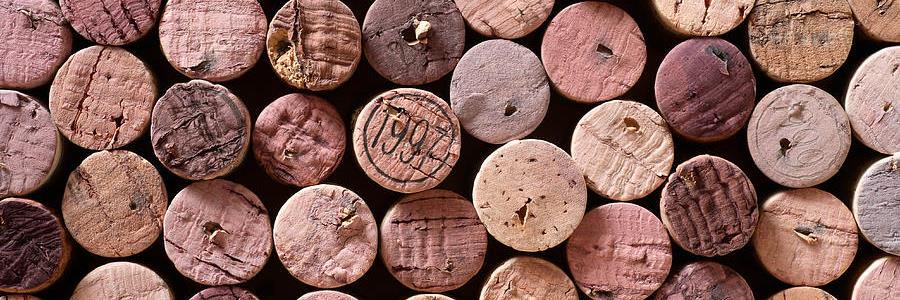 wineandtopics's profile banner image