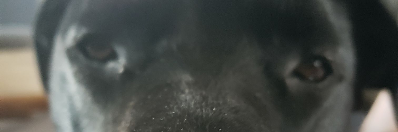Doogles02's profile banner image