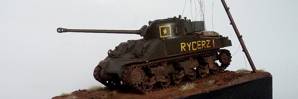 NinetalisModels's profile banner image
