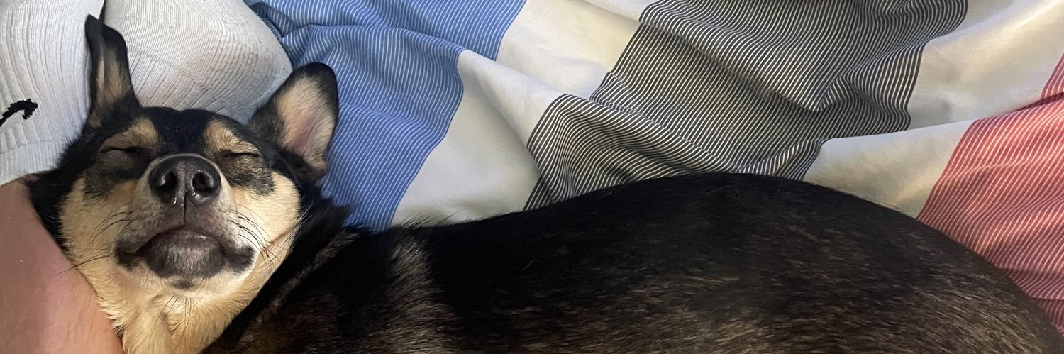 StevennEvanss's profile banner image