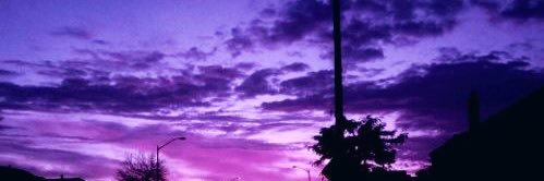 rae_speicher's profile banner image