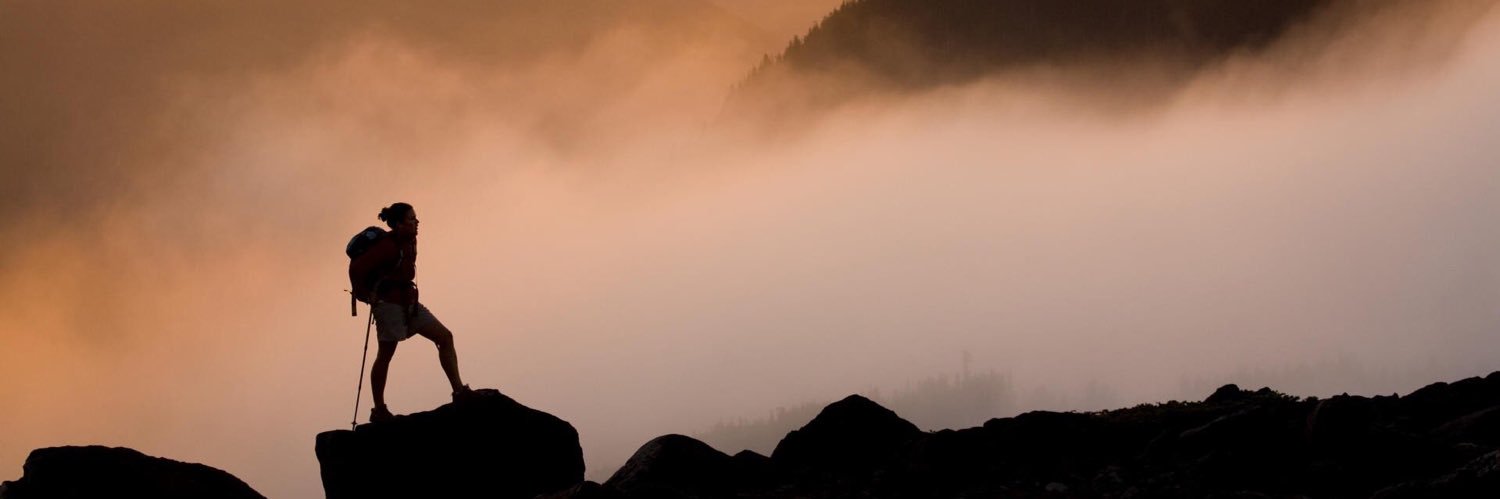 Stephen Gaskell banner