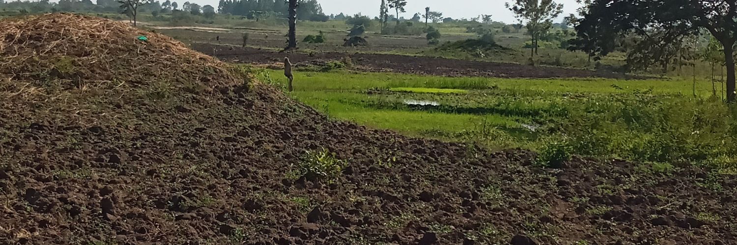 OKWALINGAEMM's profile banner image