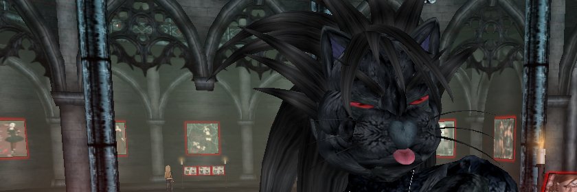 Metaforest's banner