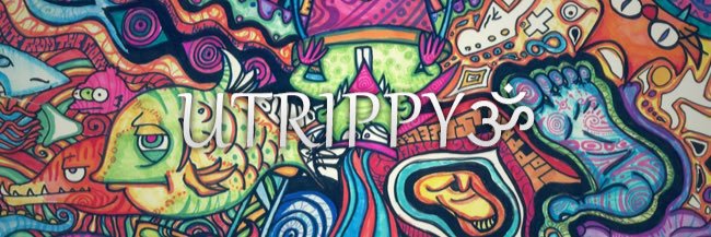 jamie_catte's profile banner image