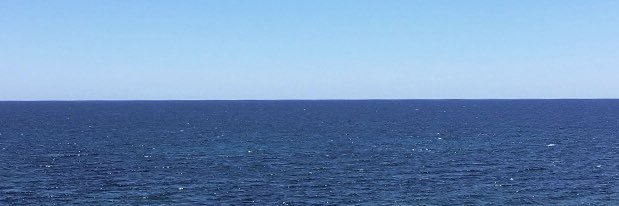 Federica Leone banner