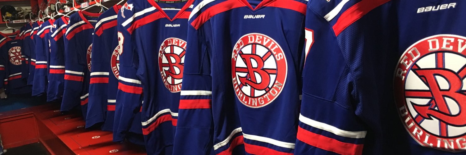 Lady Devils Hockey banner