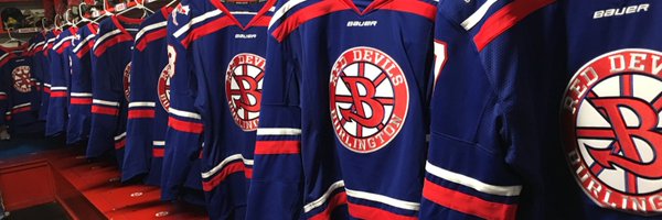 ladydevspuck Profile Banner