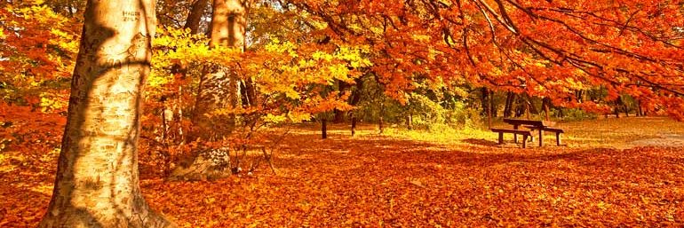 Christyna Lee banner