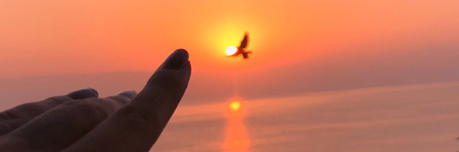 ozdemrs__'s profile banner image