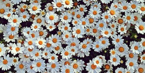 mollyacooper's profile banner image