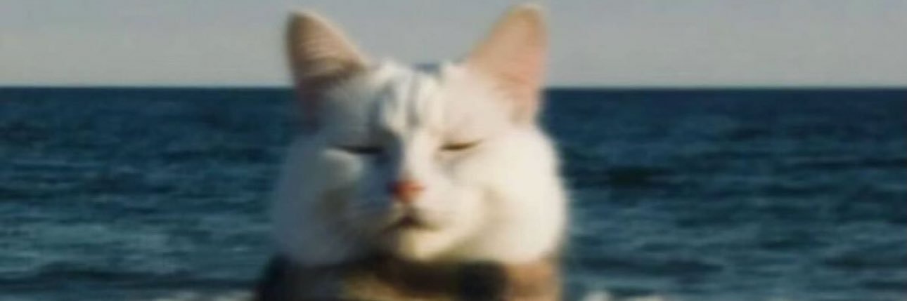 karabirkiz's profile banner image