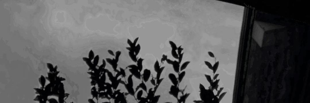 Geraaaldd7's profile banner image