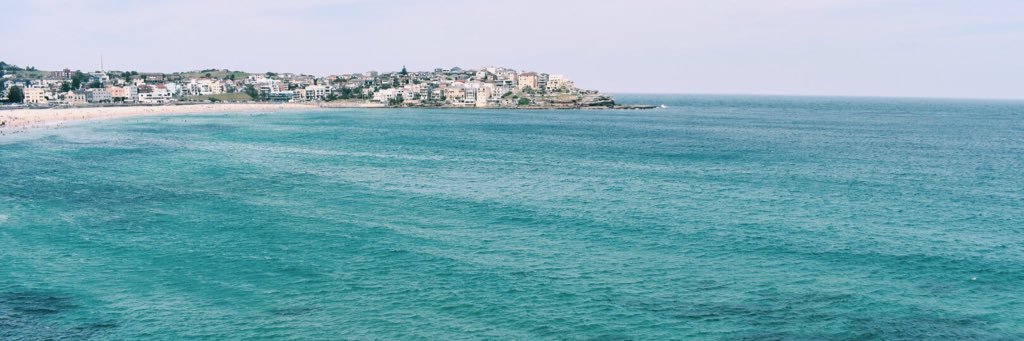 TaylorLosa12's profile banner image