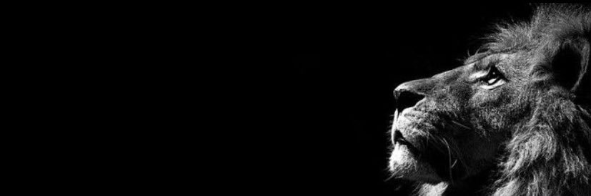 dante125_'s profile banner image