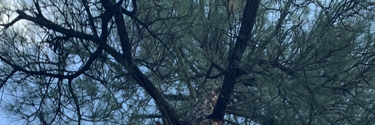 jrsav7's profile banner image