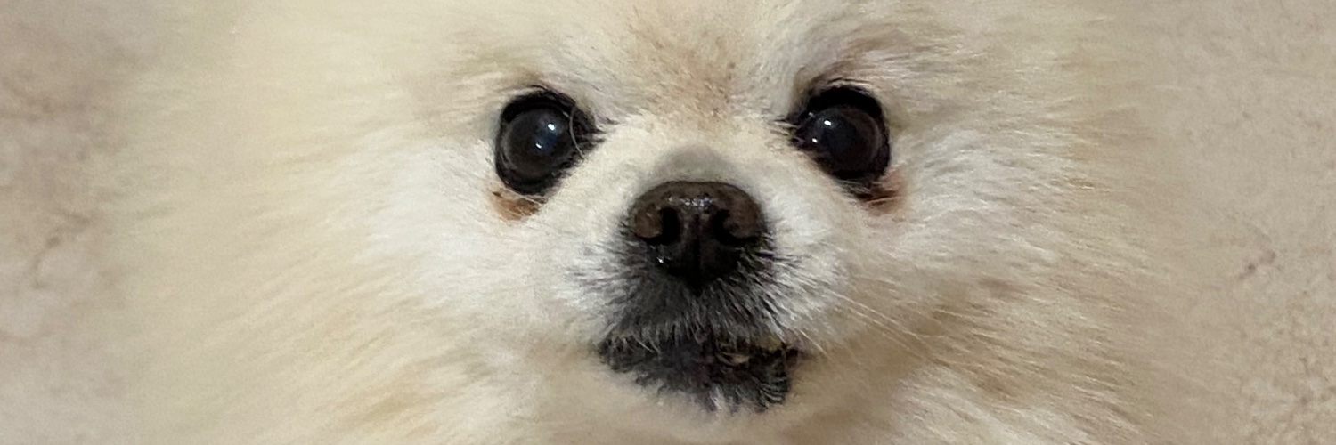 acarolinamtz's profile banner image