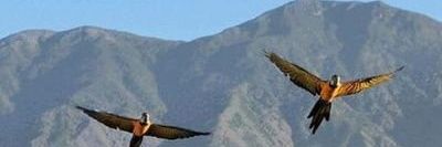 bibydittmar's profile banner image