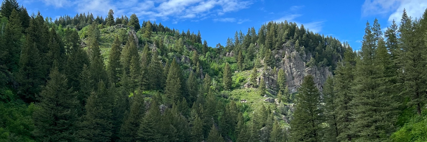 Brandon Walker banner