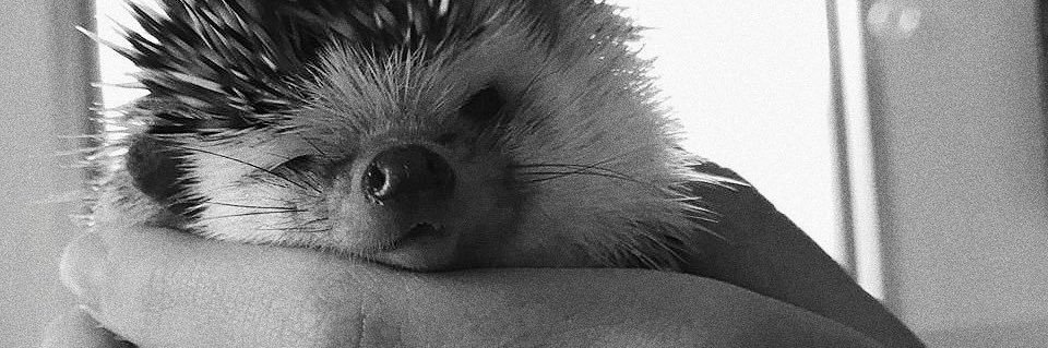 valengimenz2's profile banner image