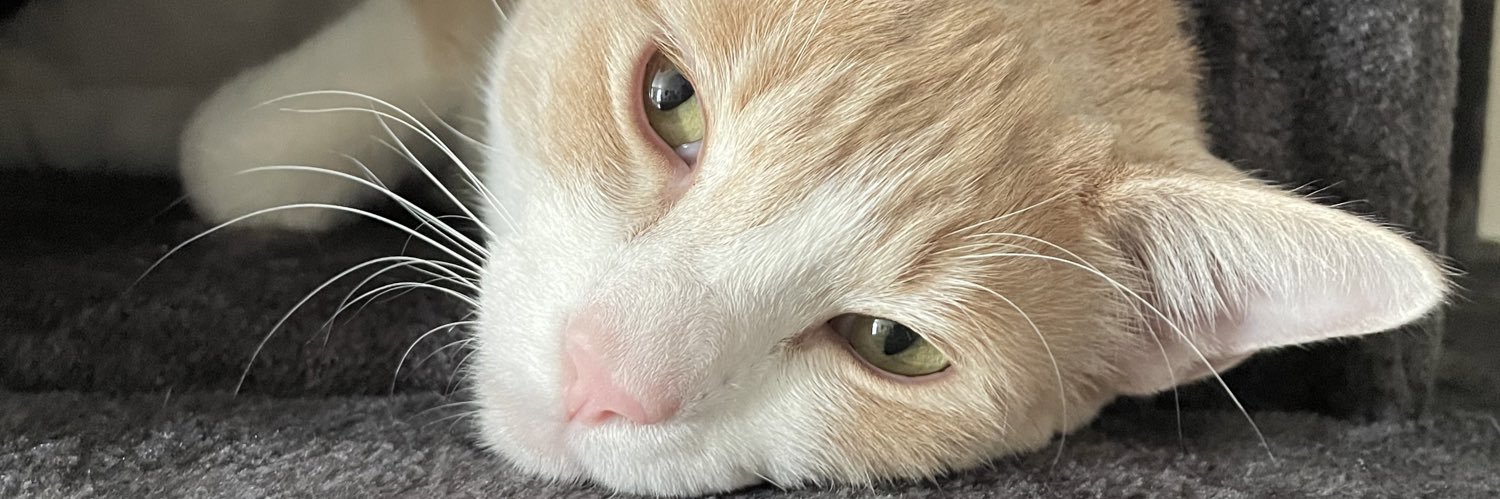 Shortwun1's profile banner image