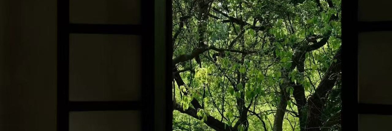 LauraFrances2's profile banner image