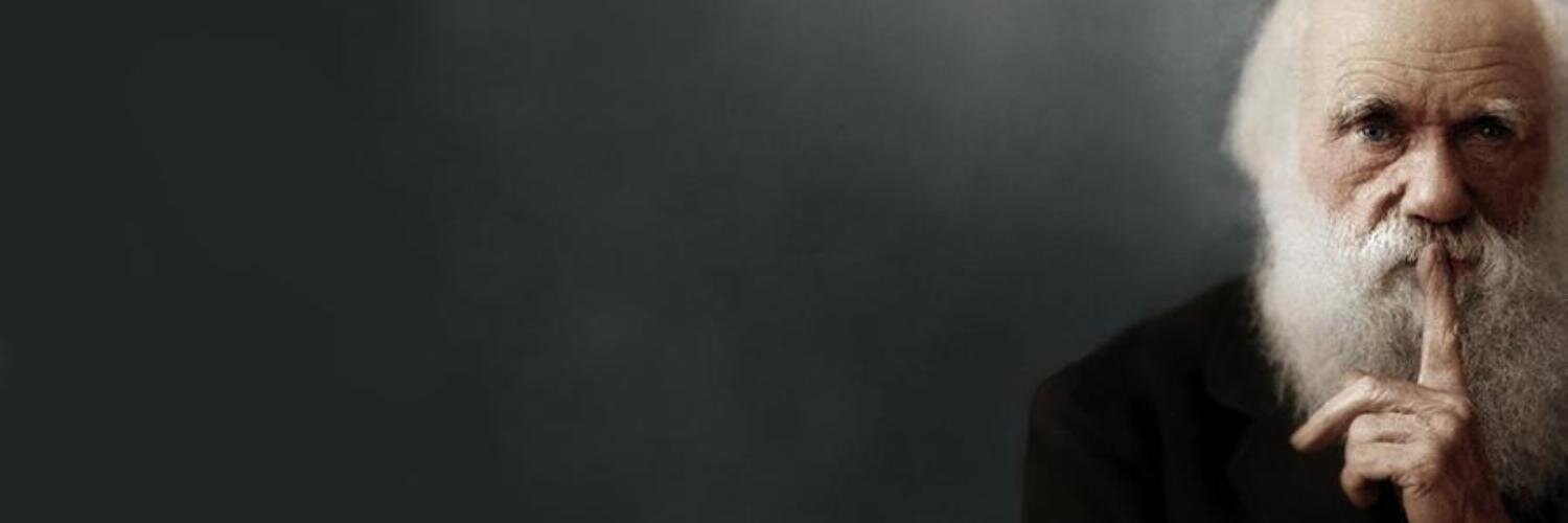 liteofevolution's profile banner image