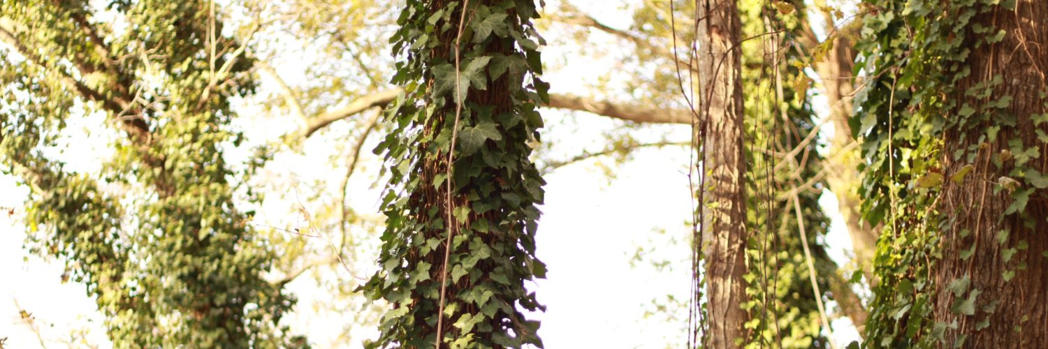 Archie Crowley banner