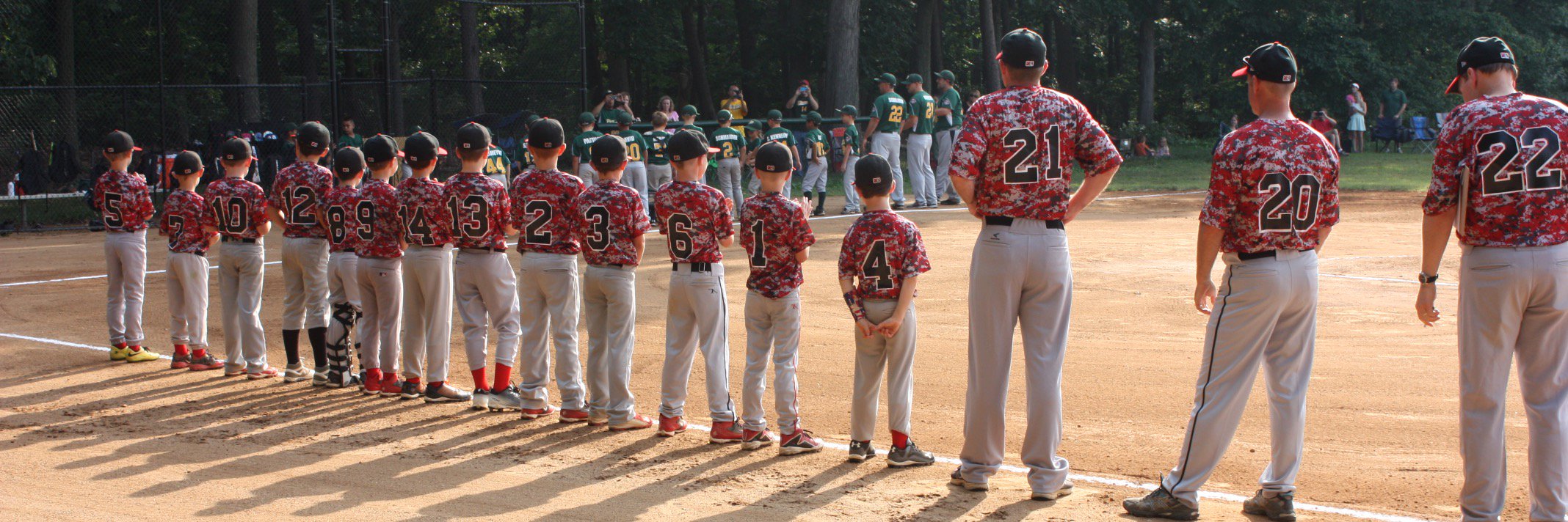 Arlington Storm Baseball banner