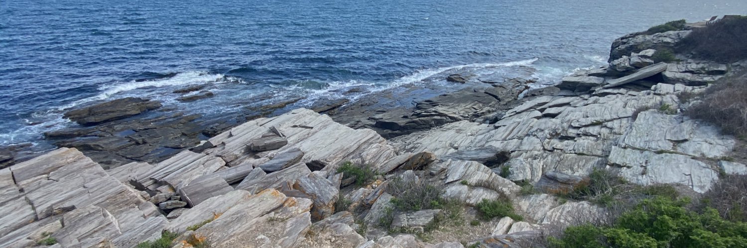 Nick Paradise banner