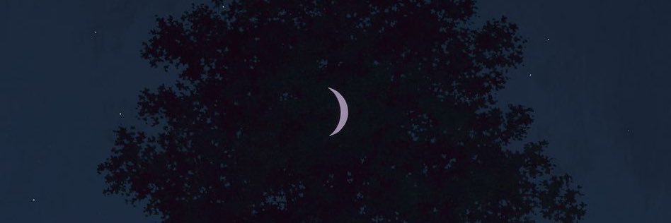 _tamaleimpala's profile banner image