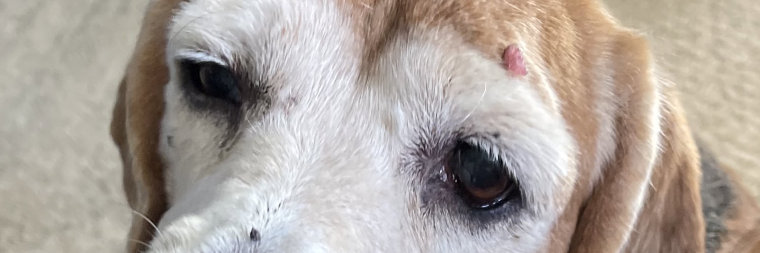 ZekkenB's profile banner image