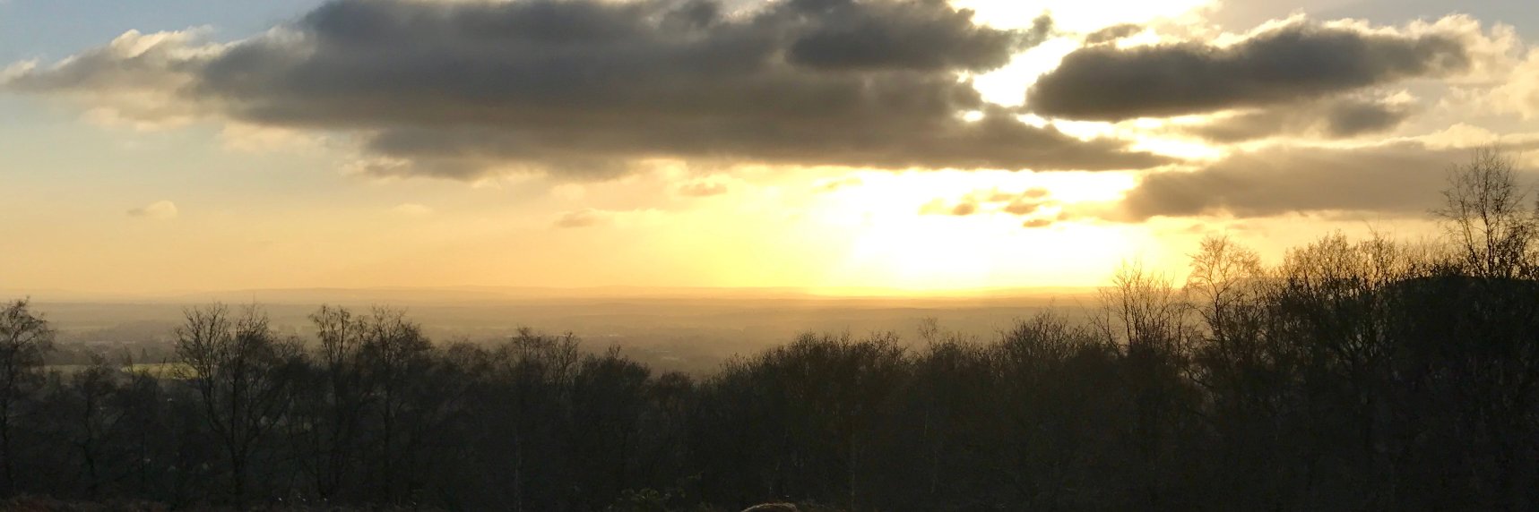 WestleyMeadows's profile banner image