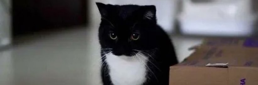 bighonkerss's profile banner image